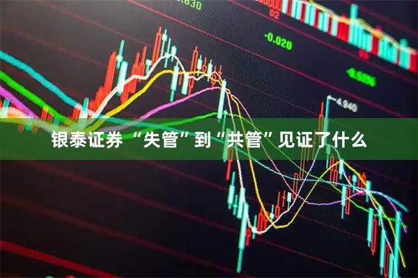 银泰证券 “失管”到“共管”见证了什么